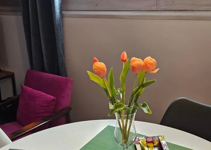 Studio Apartman Gradna